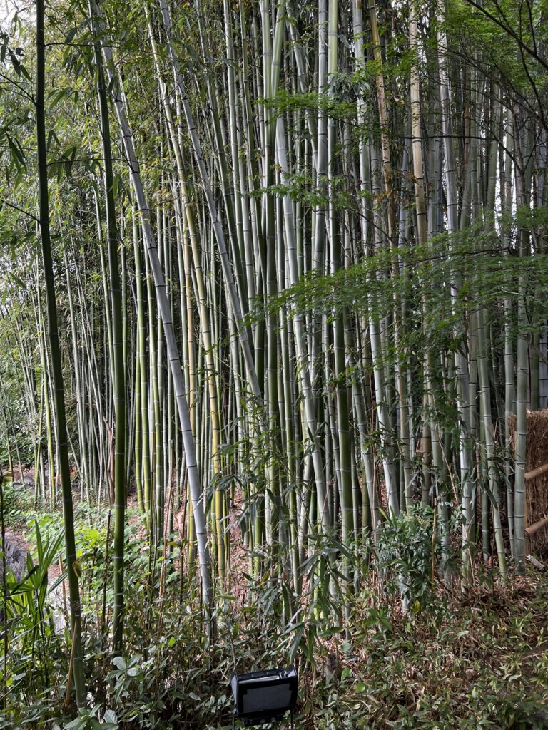 A Wonderful Two-Week Rail Journey Through Japan img 3792